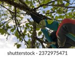 Small photo of Pruning tree with clippers on backyard in village. Pruning tools. Cut branch use branch cutter. Cutting branches on apple tree use Garden pruning shears. Trimming tree branch in rural garden.