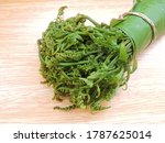Small photo of The vegetable fern is an edible fern found throughout Asia and Oceania. It is probably the most commonly consumed fern. It is also known as Fiddle head fern. Scientific name - Diplazium esculentum.