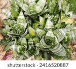 Ornamental plant commonly known as snake plant. Also known as Saint George's sword, mother-in-law's tongue, and viper's bowstring hemp.