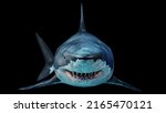 3d rendering 8k resolution
Close-up of a scary great white shark swimming underwater Front view
 Megalodon is the Most predator shark in the ocean.8k 3D Rendering