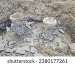 Small photo of piles of​ found​ation, footing cast​ in​ site