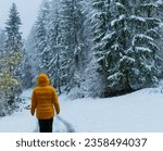Woman standing in cloudy Winter Landscape