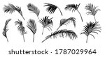 palm leaves vector. shadow of... | Shutterstock .eps vector #1787029964