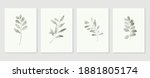 botanical wall art vector set.... | Shutterstock .eps vector #1881805174