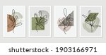 botanical wall art vector set.... | Shutterstock .eps vector #1903166971