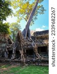 Small photo of Autumn's marvel: Monstrous roots of a ficus tree entwined with Khmer Empire ruins in Cambodia.