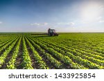 Tractor Spraying Pesticides At...