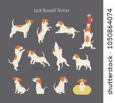 Jack Russell Terrier Dog Breed...