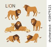 Various Poses Of A Lion Vector...