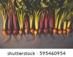 mix of red and gold beets on... | Shutterstock . vector #595460954