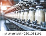 Milk factory. Robotic factory line for processing and bottling of milk. Selective focus.