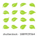 simple flat green leaf design... | Shutterstock .eps vector #1889929564