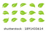 simple flat green leaf design... | Shutterstock .eps vector #1891433614