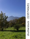 Small photo of Green Jardin vagabond with Mont Dent du Chat peak on Lake Bourget Aix-les-bains city French Alps Riviera Savoie region France