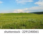 Small photo of An ancient stone burial, plundered, stands in a hilly picturesque steppe under a sunny summer sky. Khakassia, Siberia, Russia.