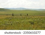 Small photo of A plundered ancient mound with the remains of high burial stones in the endless flat steppe on a clear summer evening. Khakassia, Siberia, Russia.