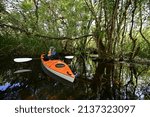 Woman kayaking on Turner River in Big Cypress National Preserve, Florida on clear cool winter day.