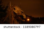 Night  Horse Skull Impaled On A ...