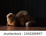 Teddy Bear On Dark Background