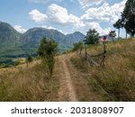 Small photo of Inelet, Romania - August 11 2021: Earthen alley at Scarisoara hamlet. The hamlets Inelet and Scarisoara are two isolated villages in Cerna Mountains.