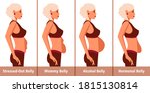 types of tummies for women.... | Shutterstock .eps vector #1815130814