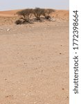 Small photo of Desert terrain in Sharjah, United Arab Emirates. Wind action constantly changes the dimensions, color and texture of the inhospitable and arid terrain where summer temperatures peak above 122F/50C.