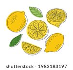 cute hand drawn outline vector... | Shutterstock .eps vector #1983183197