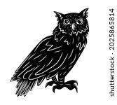Black Owl  Cartoon Isolated On...