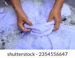 Hand of Asian housewife washing white clothes ,school uniform,Student uniforms with bubble detergent in basin.Laundry concept