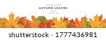 beautiful autumn leaves... | Shutterstock .eps vector #1777436981