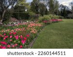 Small photo of TICEHURST, ENGLAND - APRIL 26th, 2022: Parshley Manor beautiful tulip border in spring