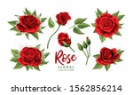 Red Roses Hand Drawn Color Set. ...