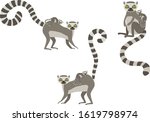 cartoon animals. mother lemur... | Shutterstock .eps vector #1619798974