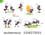 Black Ant Cartoon Character....