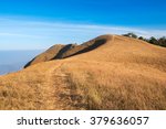 dry grass on the mountain with blue sky at doi monjong, chiangmai, thailand