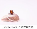 Small photo of Gemstone ring concept. Cinnamon stone ring on seashell with white background