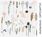 vector set of boho plants.... | Shutterstock .eps vector #1691164714