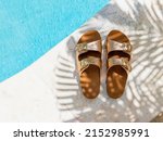 Beach shoes in the shadow of a palm tree
