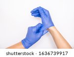 Doctor or nurse putting on blue nitrile surgical gloves, professional medical safety and hygiene for surgery and medical exam on white background.