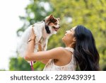 Small photo of Asian woman playing with chihuahua dog at pets friendly dog park. Domestic dog with owner enjoy urban outdoor lifestyle in the city on summer vacation. Pet Humanization and urban pet parents concept.