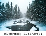 River with Chunks of Frozen Ice Surrounded by Snow and Pine Trees in the Cold Winter in Chic Chocs, Quebec / Canada