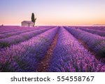 Valensole Lavender Fields ...