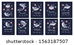 shark animal vector card set in ... | Shutterstock .eps vector #1563187507