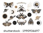 bohemian boho butterfly... | Shutterstock .eps vector #1990936697