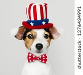 Small photo of Cute Jack Russell Terrier in Uncle Sam hat and bow tie