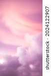 pink cloudy sky mobile phone... | Shutterstock . vector #2024122907
