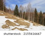 spring meadow with melted snow in mountains. Take it in Ukraine, Carpathians