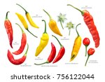 aji chilly peppers  capsicum... | Shutterstock . vector #756122044
