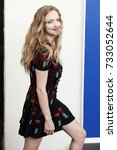 Small photo of VENICE, ITALY - AUGUST : Amanda Seyfried attends the photo-call of the movie 'First Reformed' during the 74th Venice Film Festival on August 31, 2017 in Venice, Italy.