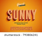 "sunny" vintage 3d premium rich ... | Shutterstock .eps vector #793806241